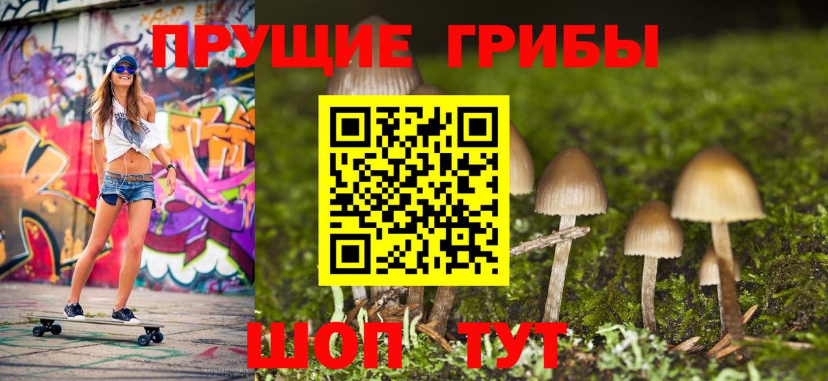 Псилоцибиновые грибы прущие грибы  Вход с VPN  Псилоцибиновые грибы мухоморы  Сарапул 