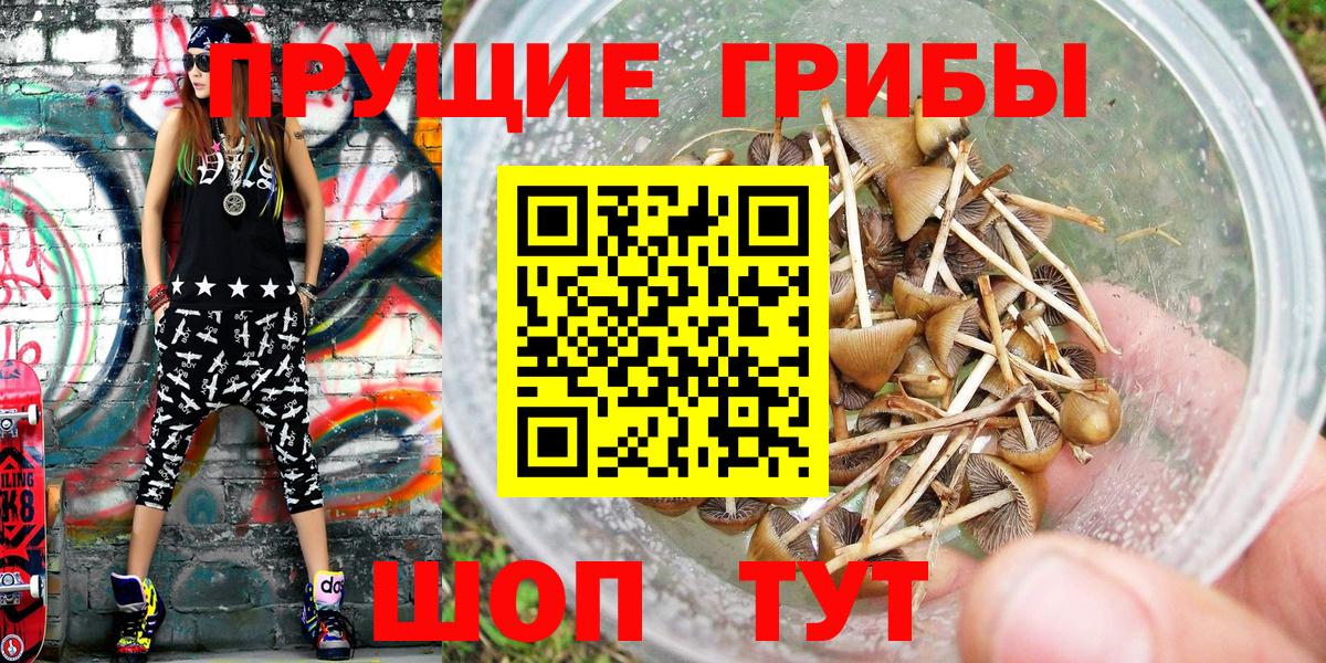 Псилоцибиновые грибы Cubensis Сарапул